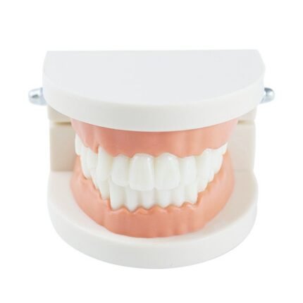 Teeth mold